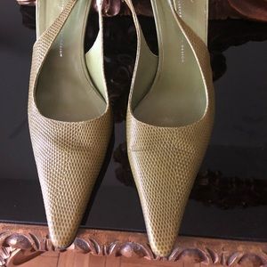 Giuzeppe Zanotty Olive Green